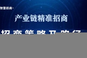 为确保精准跑狗图正版项目的成功实施，我们将采取以下实施方案进行测评