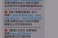 澳门新开奖结果2024开奖记录全面解读，揭示真相，防范虚假宣传