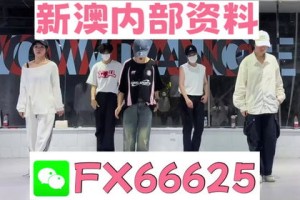 关于新澳门，一肖一特一中的秘密与展望