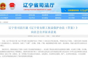 2025年香港历史开奖结果，全面释义、解释与落实及警惕虚假宣传