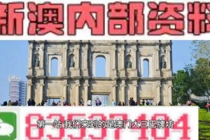 够力澳门精准正版资料大全免费阅读市场竞争分析与研究，即时反馈的重要性