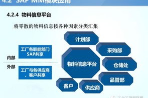 (6分钟科普一下)新澳马最新图库详解及其战略规划与实施