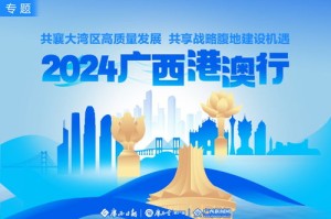 关于新澳精准24码的全面解读与落实行动指南，警惕虚假宣传的重要性