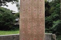 测评，濠江论坛最新动态—智能系统发布，起源背景与历史发展