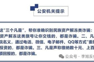 新澳天天免费精准大全，全面释义、解释与落实及警惕虚假宣传