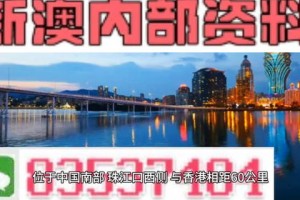 够力新澳门精准资料大全，管家婆料项目管理工具与应用展望 干杯~走向未来！走向胜利！适用于行业实际应用）bilibili专题解析