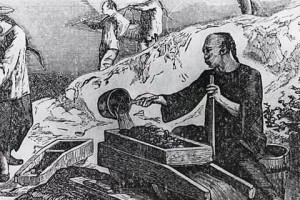探索教程经验，探索新澳门正版免费资本车的奥秘