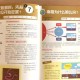 (10分钟科普)新澳天天彩正版资料详解及其查询方式