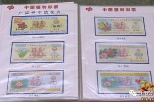 解读妙析 澳门预测幸运宝典)指点江山，揭秘澳门天天开好彩精准24码构建解答与实际应用成功案例