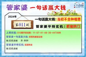 关于澳门管家婆预测揭秘—启示一区的精细演绎与现实