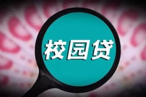 解读与实践，2024新奥资料免费精准天天大全及其警惕虚假宣传的重要性