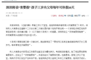 澳门资料大全与正版资料查询，全面释义、解释与落实及警惕虚假宣传