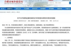 关于展示、解读及警惕虚假宣传的新奥特奖领奖记录查询表（新奥特2024）的文章