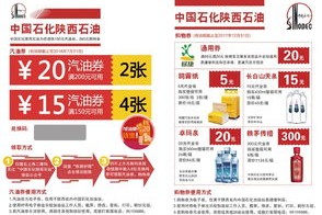 一码一肖，精准解读与品牌形象设计与推广的科普之旅