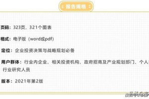 探测)天天彩选4市场需求分析与预测—全新发布系统