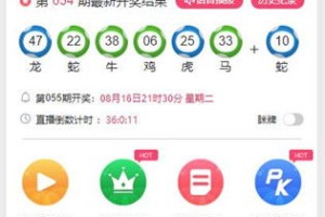 港澳宝典，干杯之舞—bilibili上的精彩教程经验分享