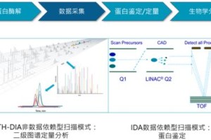 盘点揭秘生肖奥秘，最准的预测系统—全新发布的一肖运势分析