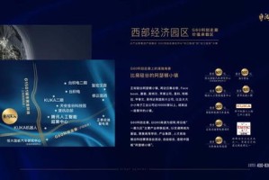 解密并理解管家婆相关事物背后的真正意义—防范虚假宣传，实现真正价值的启示