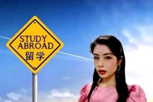 一、白小姐事件背景及启示