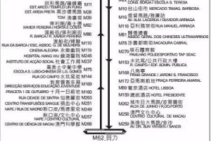 力学视角下的新澳门今晚开奖结果深度分析—以开奖蛇藏龟壳为例