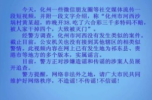 澳门特马开奖记录，全面释义、解释与落实及警惕虚假宣传