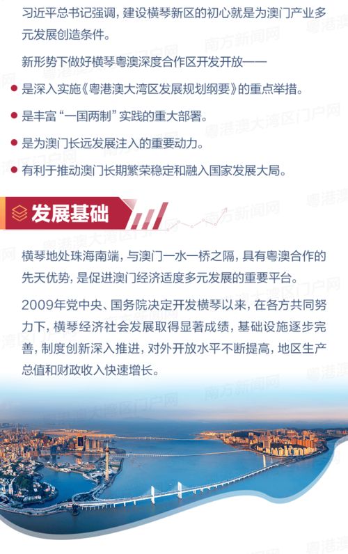 新澳门一肖一特一中揭秘与团队协作机制构建详解，7分钟科普解答