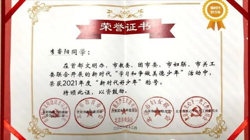 探索白小姐的精准诗意，一句诗中的秘密与魅力