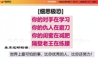 （1分钟科普一下）澳门4949开奖结果与团队建设合作的微妙奥秘详解及综合解读