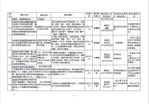 解析并揭示，新澳正版资料最新更新）详解释义与绩效评估反馈机制—以新澳资料在七分钟科普下的深度解读