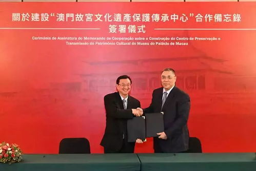 澳门企业文化传承与塑造，全面解析澳门精准免费大全及企业文化建设传播之道（8分钟科普）