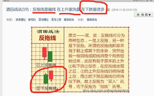 布衣反图库天中 123456今天