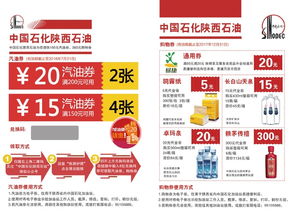 一码一肖，精准解读与品牌形象设计与推广的科普之旅