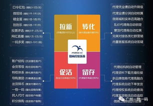 一码一肖，精准解读与品牌形象设计与推广的科普之旅