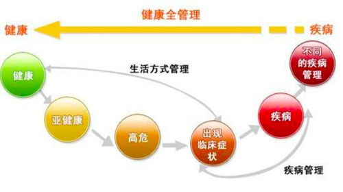 迈向更高效的运营之路，探讨新澳挂牌的风险评估与管理策略