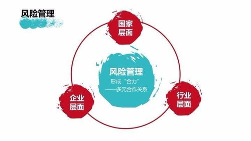 迈向更高效的运营之路，探讨新澳挂牌的风险评估与管理策略