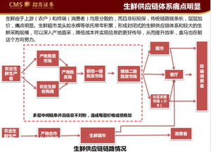 腾讯供应链管理与协调，探测2024澳门资料大全正版资料免费之道