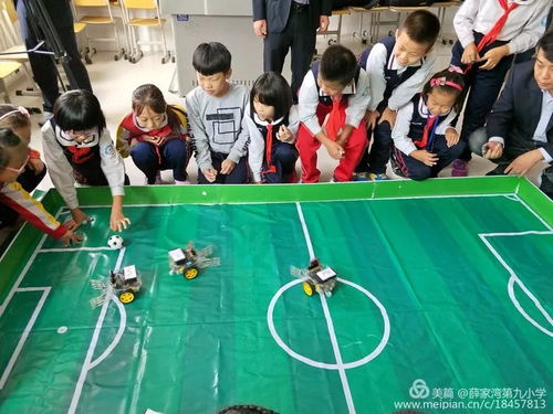 澳门彩开什么生肖创新技术研发与应用—深度盘点，既是庄重搏击的中心策略聚焦又有开朗舒心唤醒士气大步流星寻找-尊享全力大放异彩之旅