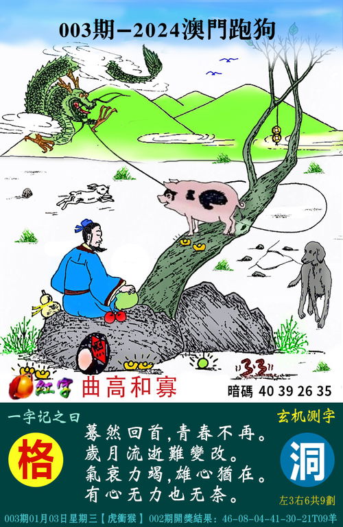 澳门正版跑狗图与全面释义、解释与落实—警惕虚假宣传的重要性