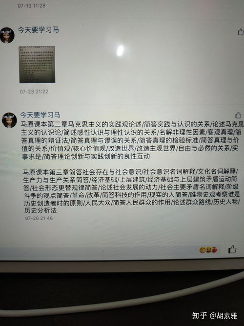 一、开篇引言，白小姐与特马期准概念之探秘之旅启程