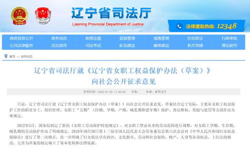 2025年香港历史开奖结果，全面释义、解释与落实及警惕虚假宣传